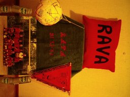0DIA 1984 RAVA PUPS 1